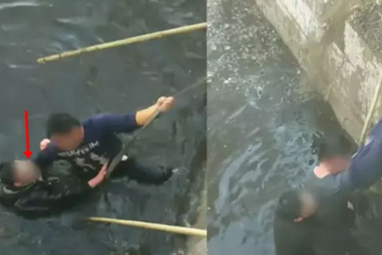 Cứu người nhảy cầu, người đàn ông làm ơn mắc oán, suýt bị dìm chết cùng