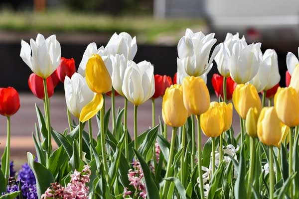 Người có ngày sinh Âm lịch kết thúc bằng 3 số này, hiền lành, mẫu mực, về sau hưởng phúc lớn-1