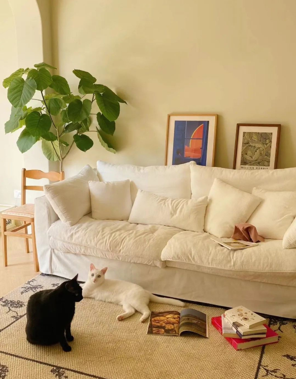 Chuyển ra ở riêng, cô gái trẻ tự cải tạo căn nhà cũ kỹ theo style vintage Pháp khiến ai nhìn cũng khen-3