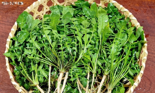 Loại rau có canxi gấp 2 lần đậu nành, 7 lần thịt gà, ăn nhiều khỏe người, chắc xương, nấu gì cũng ngon-7