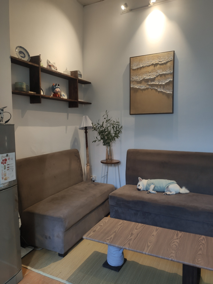 Cải tạo căn nhà tập thể 60m2 thành penthouse: Tự tay làm mọi thứ, chỉ tốn 3 triệu sửa phòng bếp và khách-5