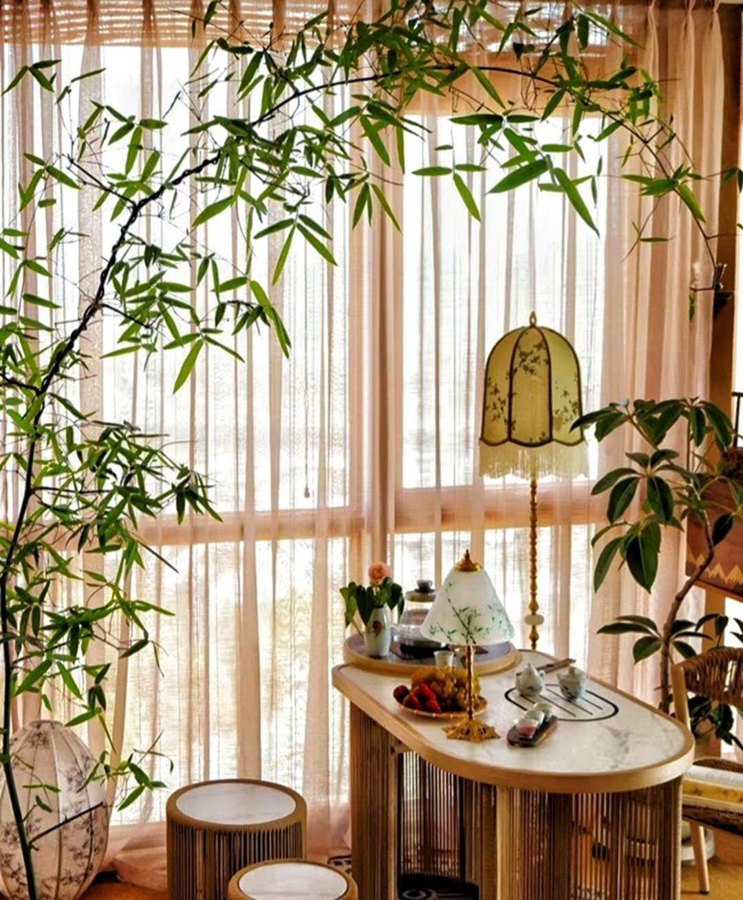 Gốc cây nhặt ngoài đường, mang về nâng đời thành cây cảnh nghệ thuật, vạn người mê-1