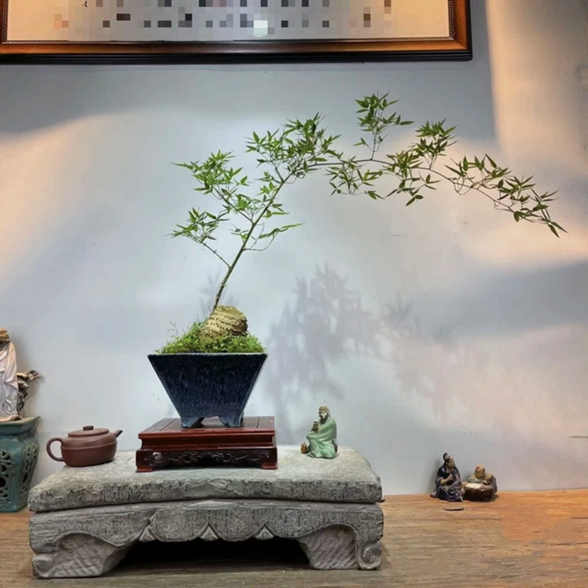 Gốc cây nhặt ngoài đường, mang về nâng đời thành cây cảnh nghệ thuật, vạn người mê-5