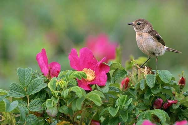 Năm 2024, ai sinh ngày Âm này được quý nhân lựa chọn, cuộc đời bao bọc bởi phước lành-1