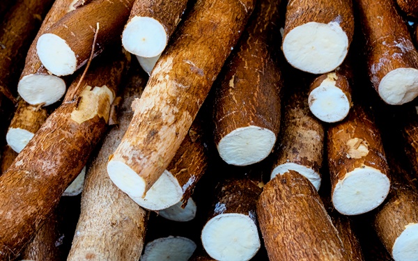 Loại củ xưa thường dùng làm lương thực chống đói của người Việt, nay thành đặc sản thơm nức bán khắp phố khi đông về-1