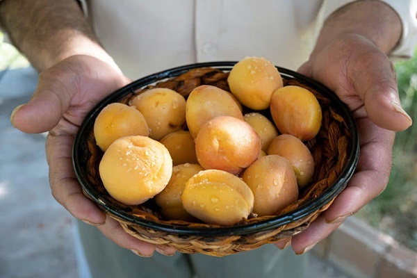 Món ăn vặt ngày Tết tưởng chỉ vui miệng” ai ngờ tốt cho tim mạch, đường ruột, làm đẹp da-4