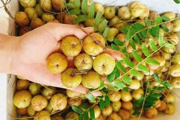 Mắc kham gây sốt ‘chợ mạng’, giá bán đắt gấp đôi-1