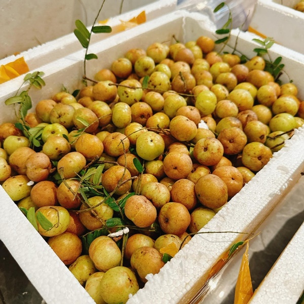 Mắc kham gây sốt ‘chợ mạng’, giá bán đắt gấp đôi-2