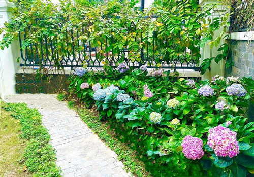 Lã Thanh Huyền và chồng đại gia đón Giáng sinh trong biệt thự triệu đô-8