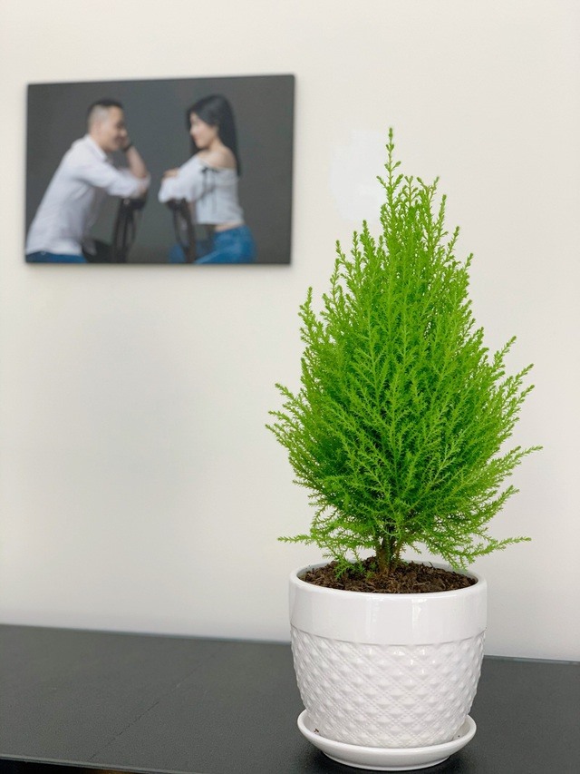 Từ phòng thay đồ lộn xộn thành không gian sáng bừng như trong store, MC Hoàng Linh khoe không gian sống viên mãn-19