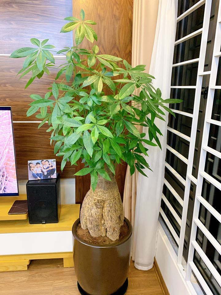 Từ phòng thay đồ lộn xộn thành không gian sáng bừng như trong store, MC Hoàng Linh khoe không gian sống viên mãn-21