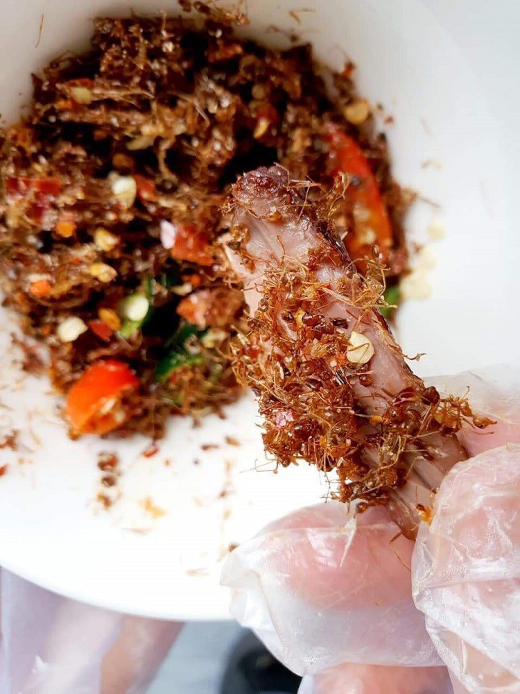 Loại côn trùng bé tí xíu có đầy rừng thành đặc sản, cửa hàng gom bán cả tạ-2