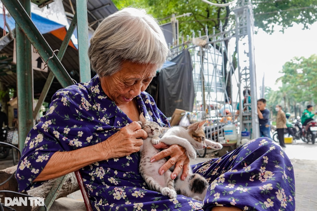 Cụ bà U80 treo biển bán nhà, quyết nhịn ăn nuôi đàn mèo hoang-1