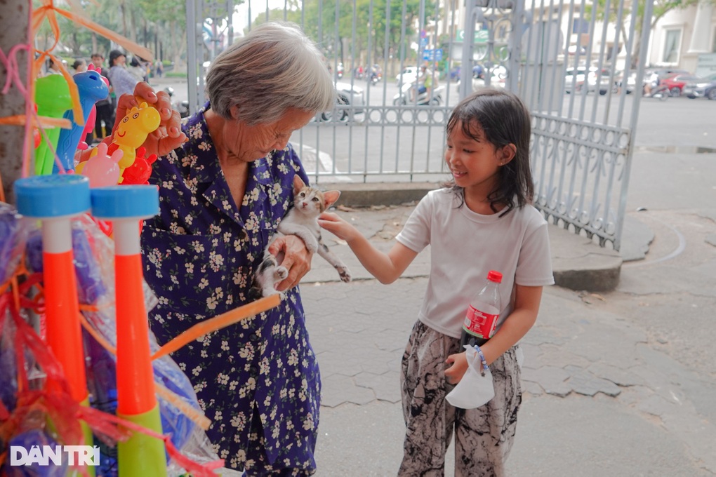 Cụ bà U80 treo biển bán nhà, quyết nhịn ăn nuôi đàn mèo hoang-2