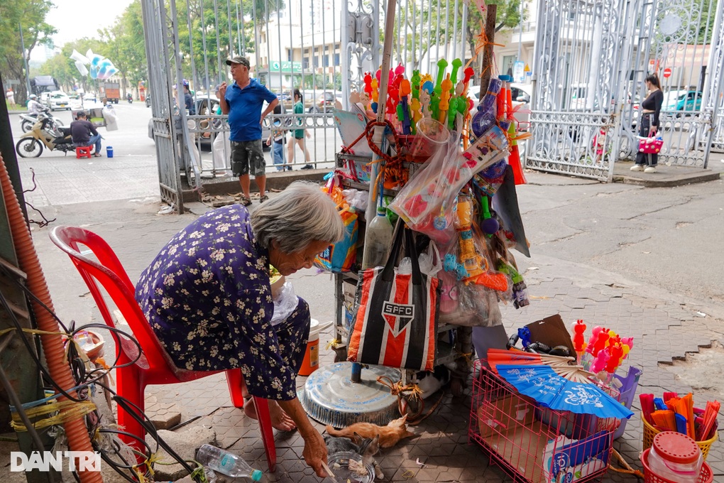 Cụ bà U80 treo biển bán nhà, quyết nhịn ăn nuôi đàn mèo hoang-5