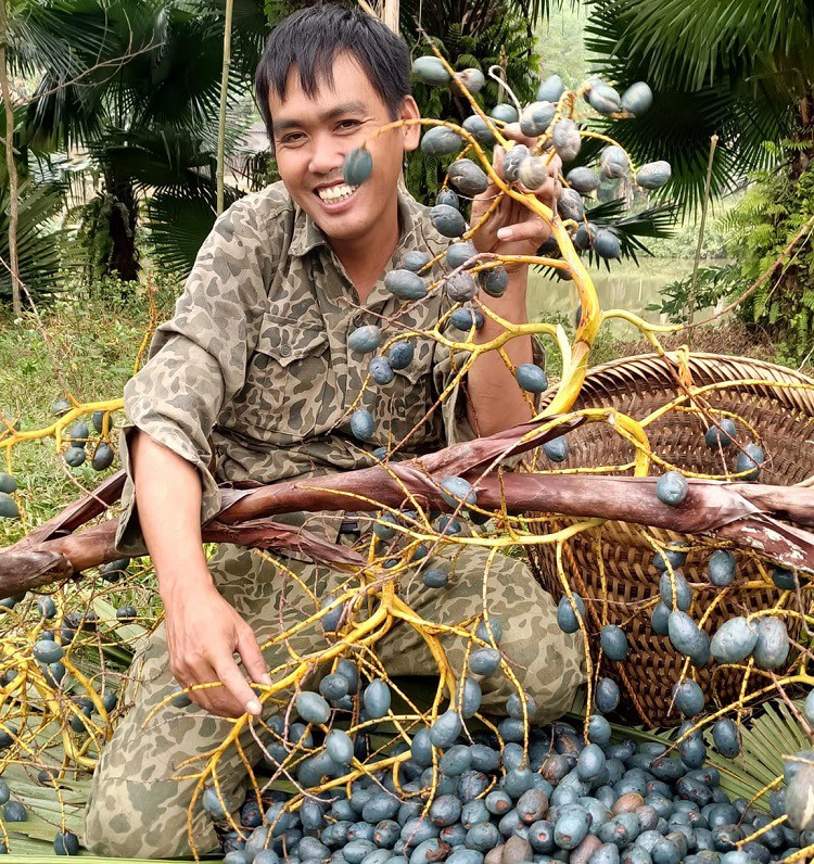 Loại quả quê đen sì vào mùa, trước rẻ bèo nay đắt ngang thịt lợn, có tiền khó mua-7