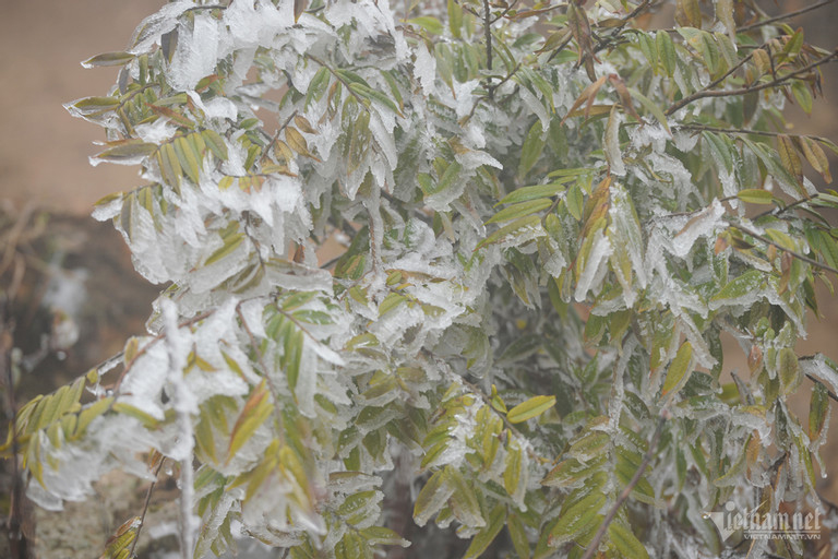 Không khí lạnh mạnh sắp tràn về dồn dập, miền Bắc có nơi thấp nhất dưới 3 độ-1