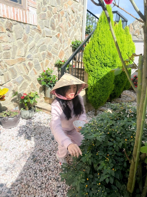 Youtuber nổi tiếng Hong Kong choáng ngợp trước dinh thự tựa lâu đài cổ tích của Hoa hậu Thu Hoài ở Đà Lạt, tốn 48 tỷ đồng xây dựng-8