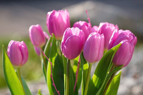 Đừng ngại thiếu niên nghèo: ai sinh ngày Âm lịch này trẻ khó khăn, già sung túc, tiền bạc không lo-2