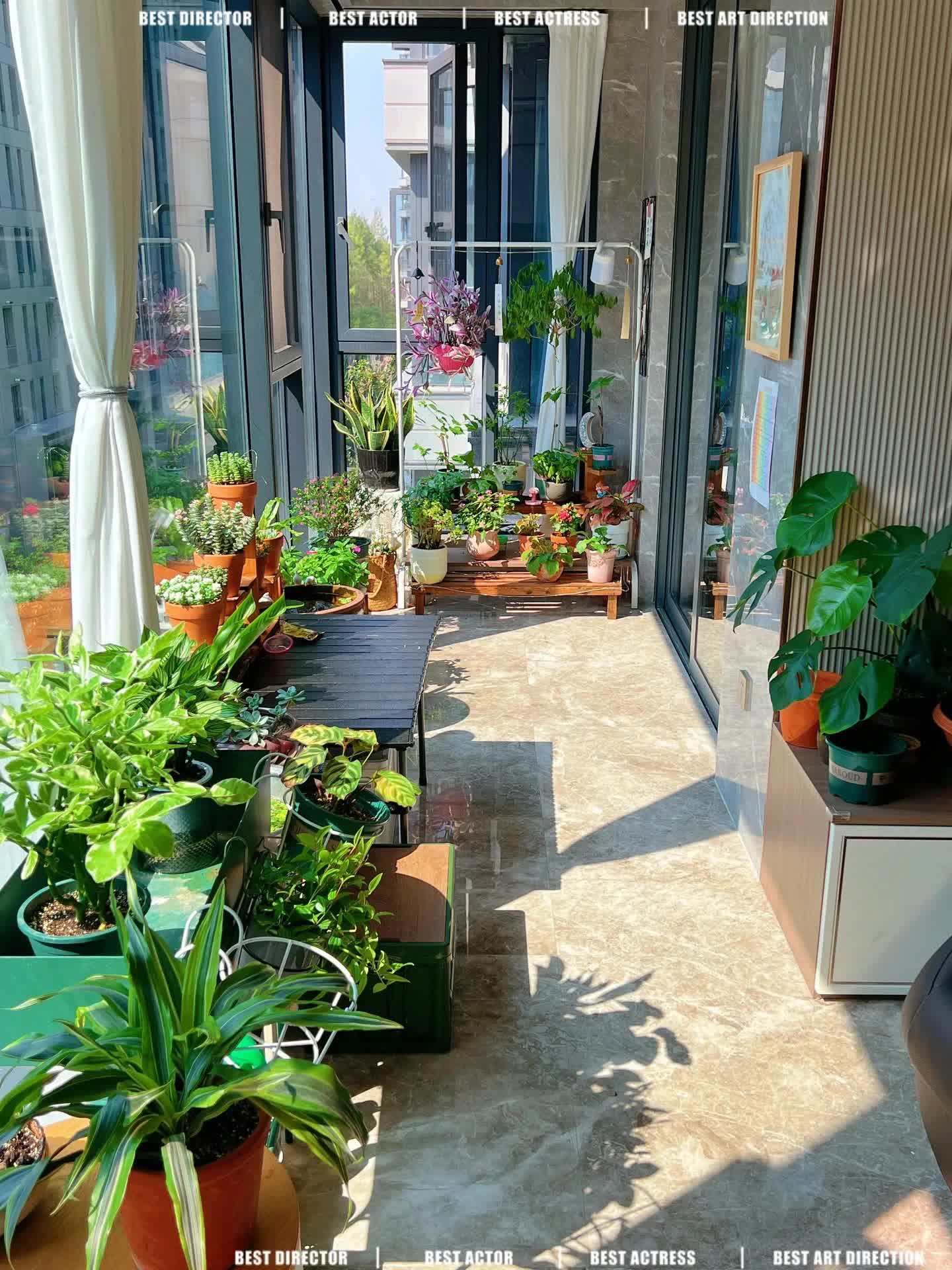 Quyết tâm không bỏ phí ban công dù nhỏ, cô giáo trẻ mát tay trồng được gần 100 chậu hoa khoe sắc-1