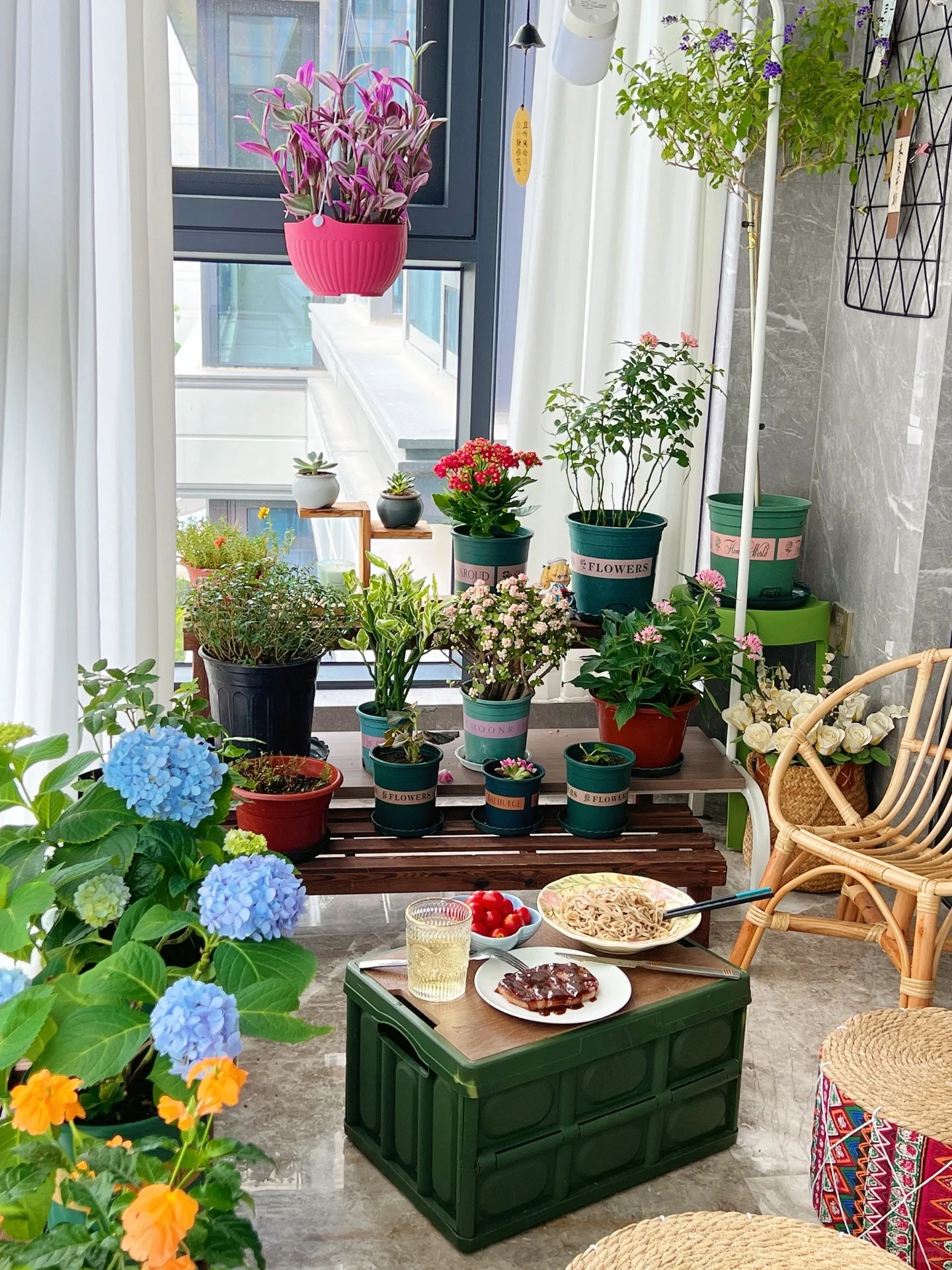 Quyết tâm không bỏ phí ban công dù nhỏ, cô giáo trẻ mát tay trồng được gần 100 chậu hoa khoe sắc-7