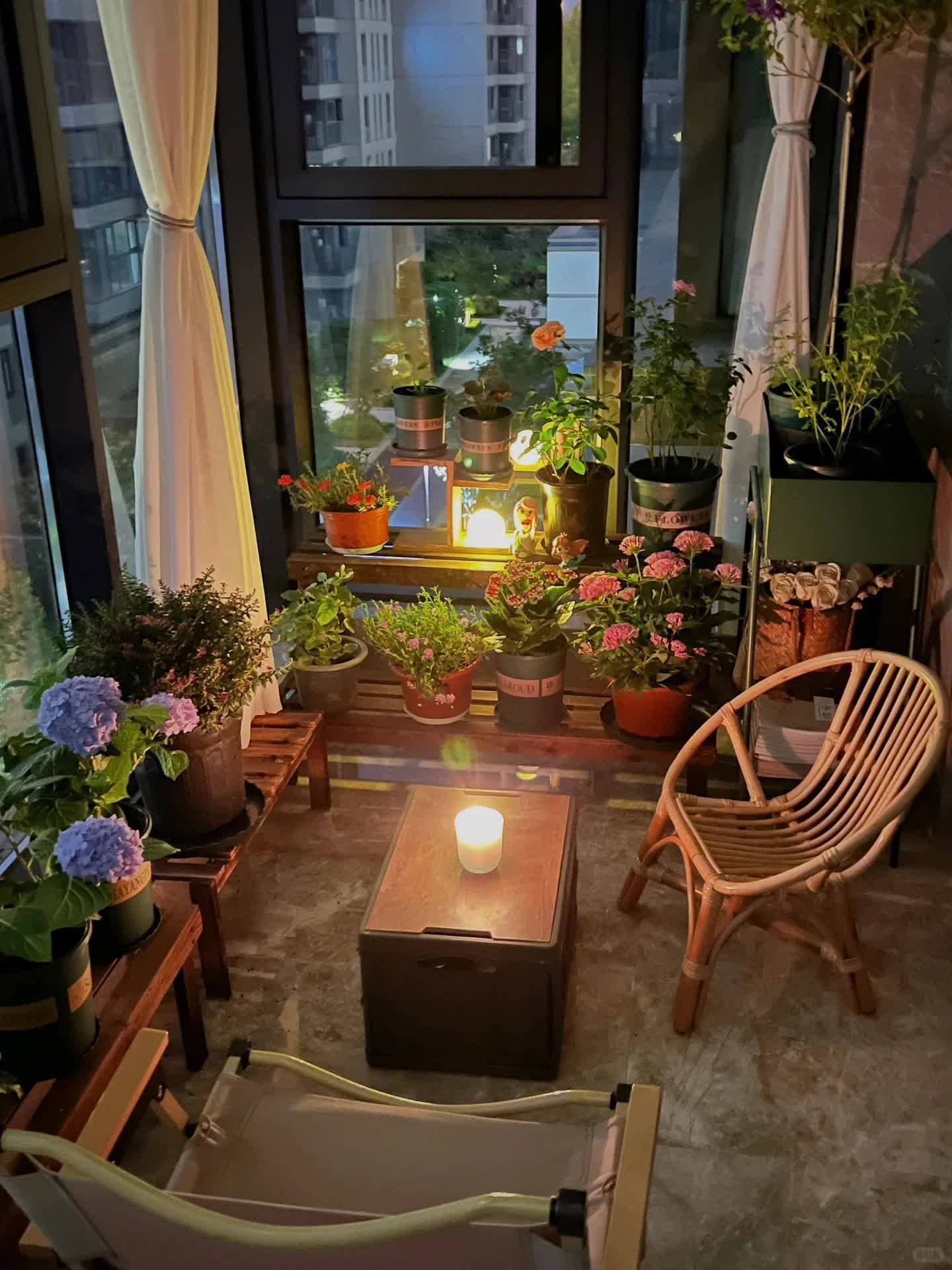 Quyết tâm không bỏ phí ban công dù nhỏ, cô giáo trẻ mát tay trồng được gần 100 chậu hoa khoe sắc-8