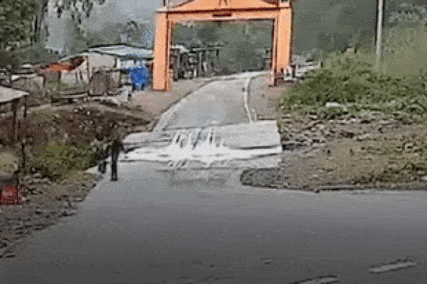Người đàn ông may mắn thoát nạn khi chạm trán hổ dữ ngay trên đường