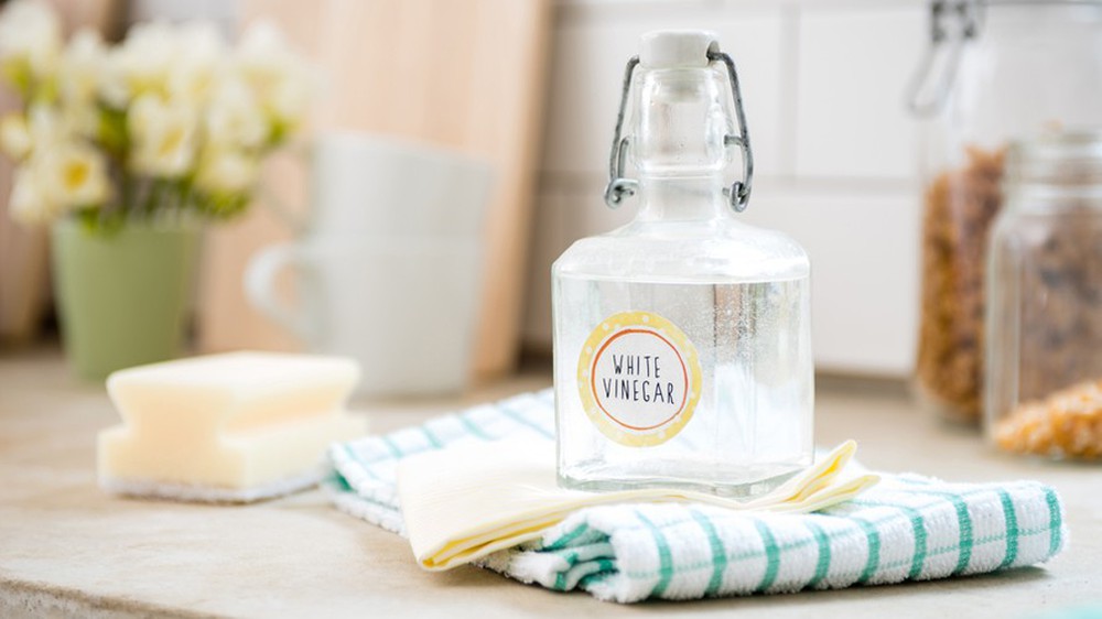 Loại gia vị rẻ tiền nhà nào cũng có là sát thủ mùi hôi: Từ tủ lạnh đến phòng vệ sinh đều xử lý được-1