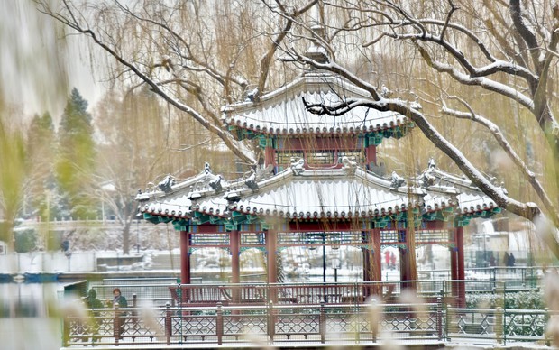 Trung Quốc: Tuyết đầu mùa bao phủ tạo nên cảnh tượng đẹp đến nao lòng tại Tử Cấm Thành-11