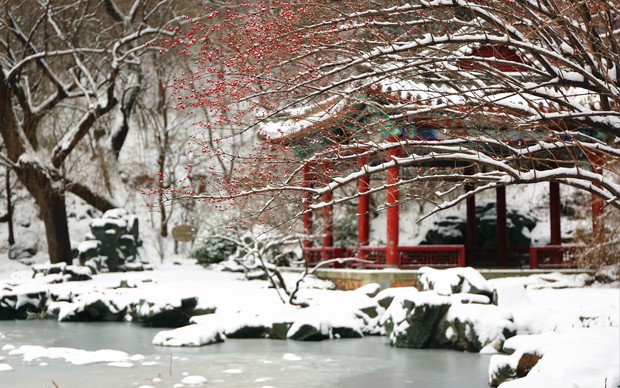 Trung Quốc: Tuyết đầu mùa bao phủ tạo nên cảnh tượng đẹp đến nao lòng tại Tử Cấm Thành-6