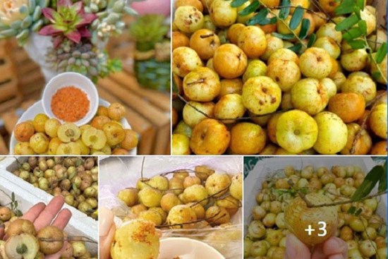 Loại quả “khổ trước sướng sau” lên “cơn sốt”: Nguồn gốc ở đâu?