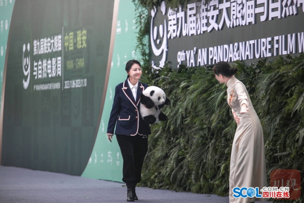 Xót xa trước loạt ảnh cuối cùng của Châu Hải My trước khi qua đời, vẫn còn tươi tắn và khỏe mạnh thế mà...-5