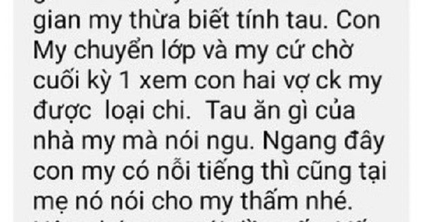 Cô giáo bị tố có quan hệ ‘mập mờ’ với phụ huynh học sinh-1