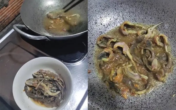 Tranh cãi clip cho trẻ ăn thằn lằn chữa hen trên TikTok, chuyên gia nói gì?-1