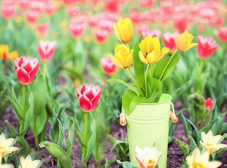 Tử vi ngày 14/12/2023: Tuổi Mão chớ nên cả nể, tuổi Thân tài lộc báo về-3