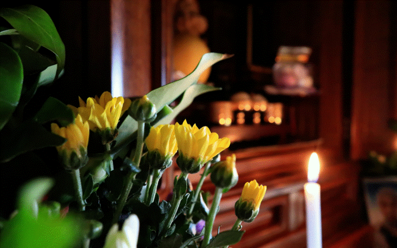 Sự thật việc cắm hoa cúc trên bàn thờ khiến tiêu tán tài lộc-4