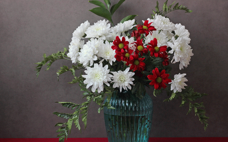 Sự thật việc cắm hoa cúc trên bàn thờ khiến tiêu tán tài lộc-9