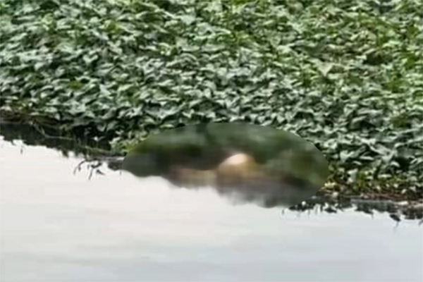 Hiện trường vụ 3 bố con tử vong trên sông Bắc Hưng Hải ở Hưng Yên-14