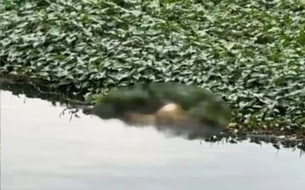 Hưng Yên: Phát hiện thi thể 2 cháu bé và người bố sau 1 tuần mất tích-1