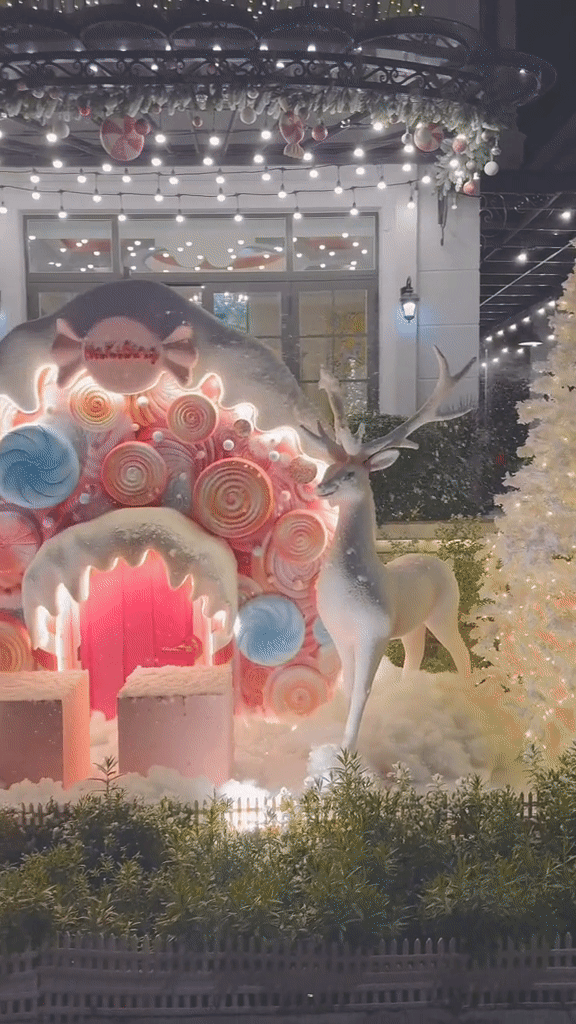 Đại gia quận 7 Đoàn Di Băng flex biệt thự 22 tỷ mùa Noel: Giăng đèn sáng rực góc phố, góc sống ảo nào cũng lung linh-5