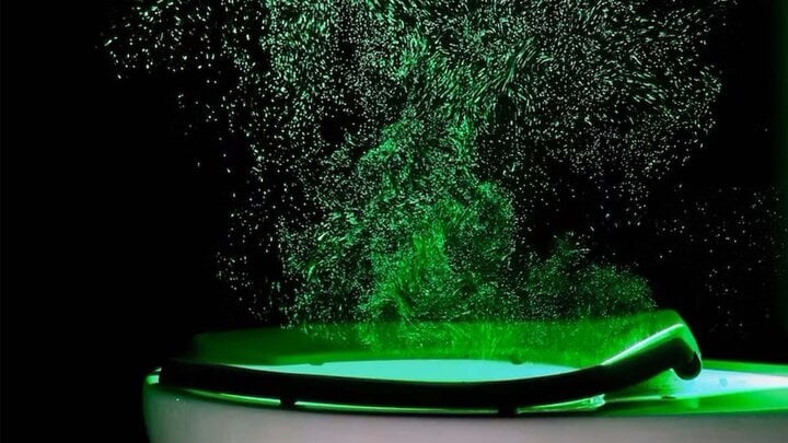 Mở nắp bồn cầu sau khi đi vệ sinh tác hại lớn đến đâu?-2