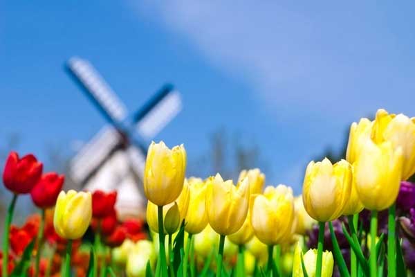 Khó khăn vẫn ngoan cường: Người sinh vào 4 ngày Âm lịch này mạnh mẽ vươn lên, hậu vận hưởng quả ngọt-4