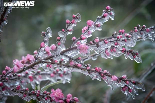 Miền Bắc sắp đón liên tiếp hai đợt không khí lạnh, Fansipan có thể dưới 0 độ C-1