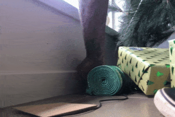 Kinh hoàng clip rắn khủng dài gần 2 mét bò lên giường kí túc xá khiến nhiều sinh viên hoảng hốt ở TP.HCM-2