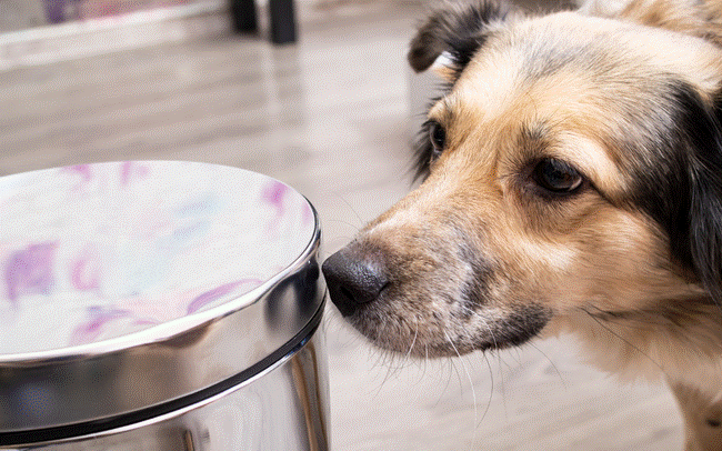 Nhà lớn hay nhỏ cũng ĐỪNG đặt thùng rác ở vị trí này, đặc biệt những người phạm Thái Tuế năm 2024-3