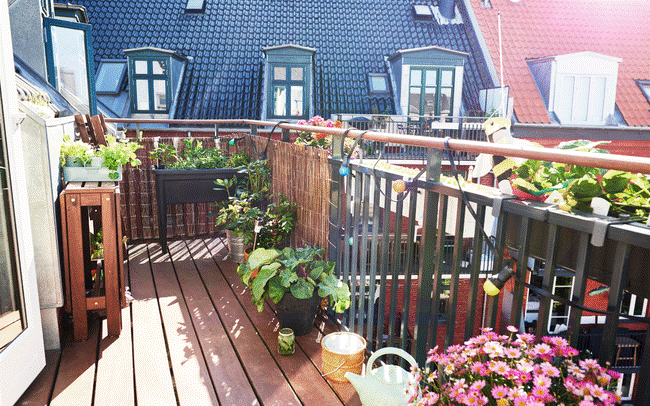 Nhà lớn hay nhỏ cũng ĐỪNG đặt thùng rác ở vị trí này, đặc biệt những người phạm Thái Tuế năm 2024-4