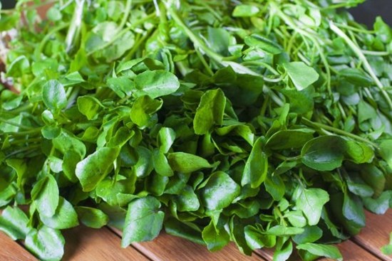 ‘Soi’ danh sách 18 loại rau tốt nhất thế giới được CDC Mỹ công nhận: Loại đứng đầu mọc hoang đầy Việt Nam