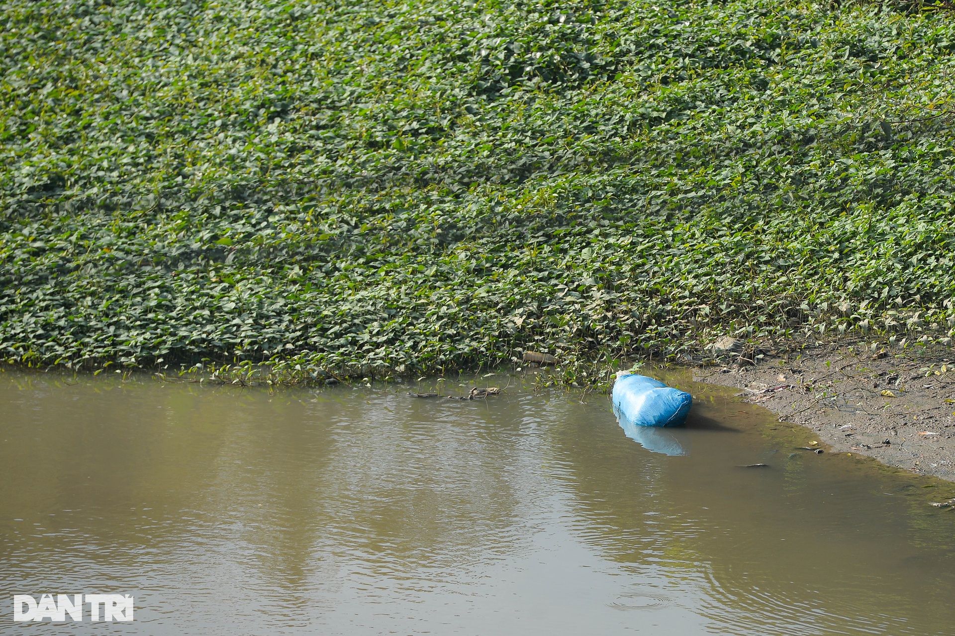Hiện trường vụ 3 bố con tử vong trên sông Bắc Hưng Hải ở Hưng Yên-6