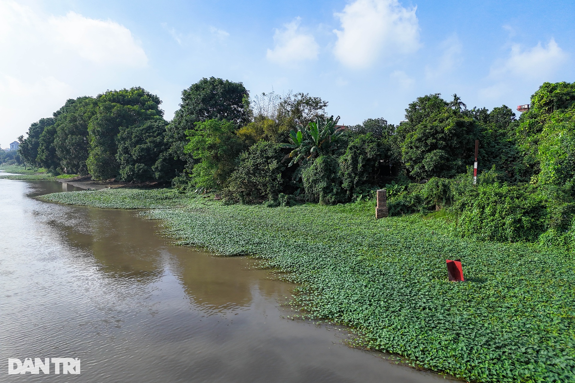 Hiện trường vụ 3 bố con tử vong trên sông Bắc Hưng Hải ở Hưng Yên-7
