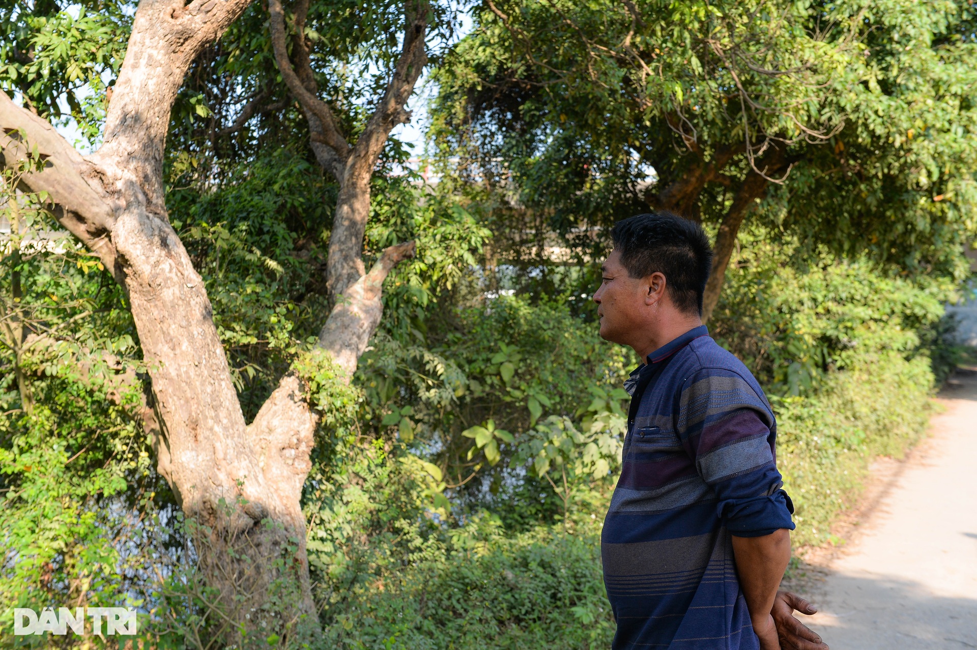 Hiện trường vụ 3 bố con tử vong trên sông Bắc Hưng Hải ở Hưng Yên-9